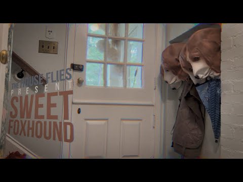 The House Flies - Sweet Foxhound (Official Video)
