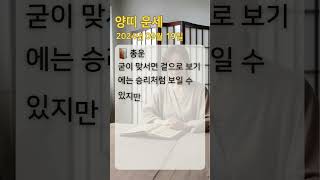 #양띠운세 #오늘의운세 #내일의운세 #띠별운세 #로또번호 #로또추천 #양띠