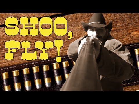 How To: Shoot A Fly With A Shotgun