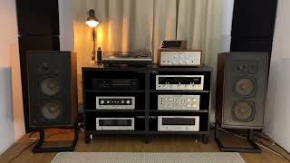 Marantz 1060 + ADS L-810