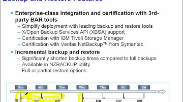 Explain the Backup and Restore features in Netezza