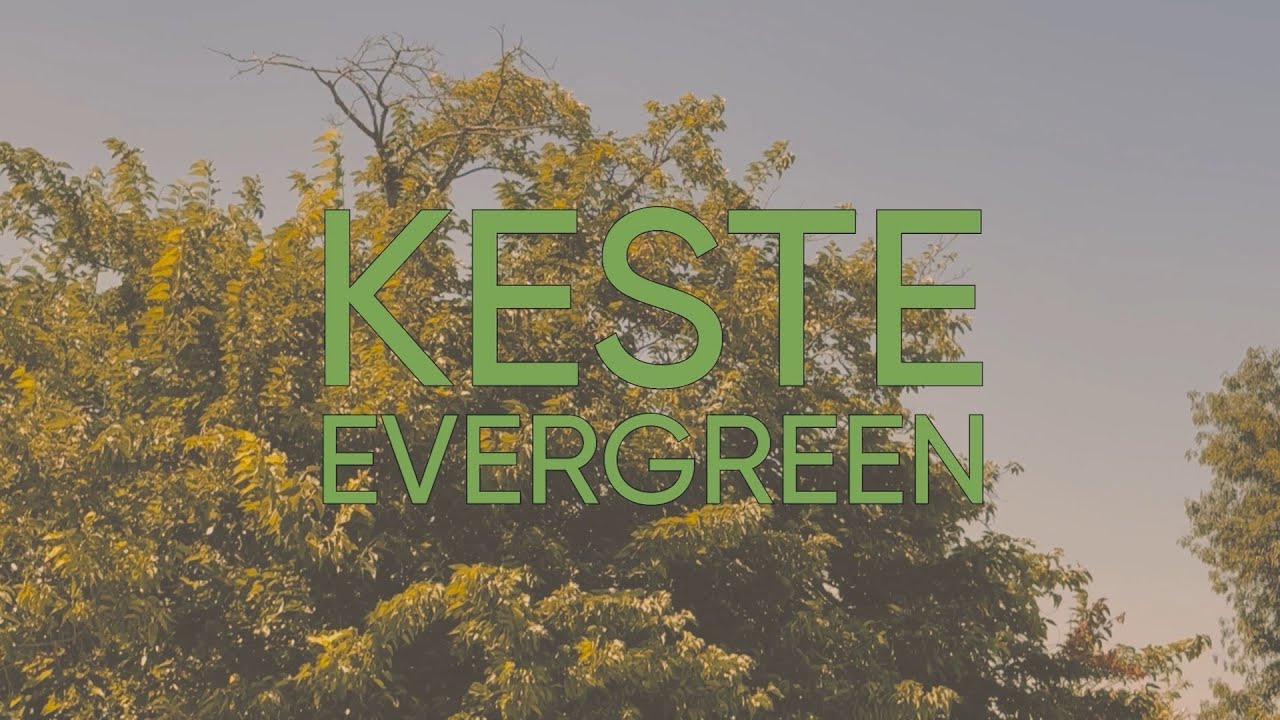 Keste - Evergreen (Official Video)
