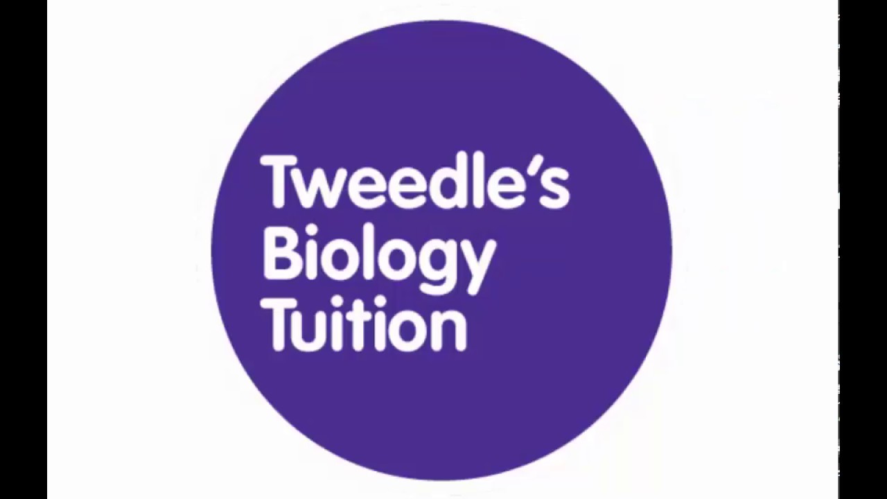 A Day in the life of an online A level Biology tutor - Mondays!