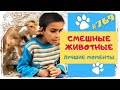 Смешные Животные до Слез 😂 приколы с Собаками, приколы с Котами и др.  #769