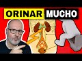 MICCIÓN EXCESIVA: ¿POR QUÉ ORINAS MUCHO o MUY FRECUENTE? (y SOLUCIONES)