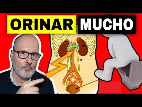 MICCIÓN EXCESIVA: ¿POR QUÉ ORINAS MUCHO o MUY FRECUENTE? (y SOLUCIONES)