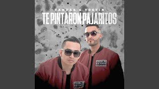 Video thumbnail of "Yandar & Yostin - Te Pintaron Pajaritos"