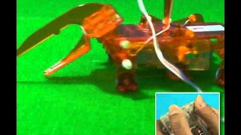 TAMIYA  71120  Insects beetle set