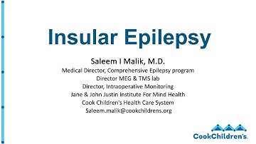Surgery techniques in epilepsy: Insular approaches