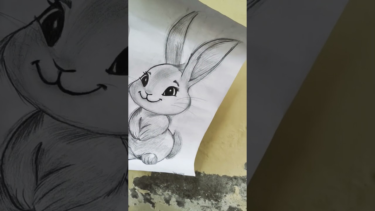 Rabbit Drawing Easy / How to draw a rabbit 