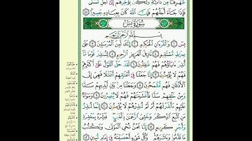 440 من سورة فاطر و يس ترتيل