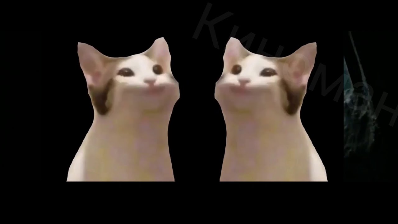 Кот с открытым ртом мем рисунок