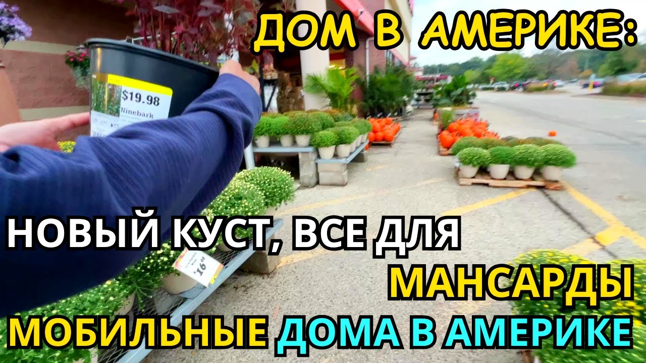 ДОМ В США Новый Куст! Материалы для Мансарды/Мобильные дома в Америке