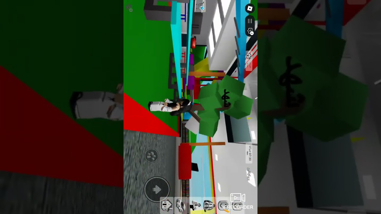 اول  فيد لي بل قناه