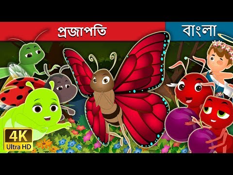 প্রজাপতি | The Butterfly Story | Bangla Cartoon | Bengali Fairy Tales