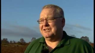 Counting deer on Cannock Chase - BBC Midlands Today -