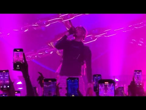OMAR COURTZ ETA (RMX) PRIMERA MUSA TOUR 2025 en vivo live concert