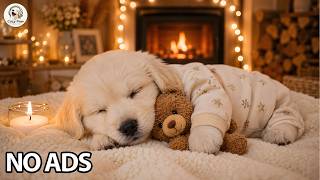 Cozy Sleep Music for Pets 🐾 3 Hours of Calm & Relaxation to Help Reduce Anxiety | Cozy Paw. No Ads