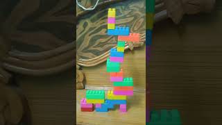 model hotel 11132242