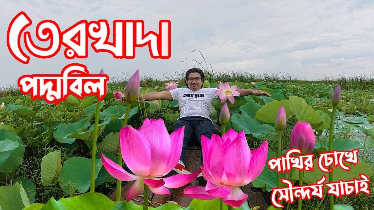 খুলনার ভাইরাল পদ্মবিল  থেকে ঘুরে আসুন।#nature #vlog #khulnavlog @theraselway