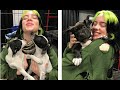 Billie Eilish And Her Pets - Rescues Adorable Puppy | Celebrities Show Their Cute Pets