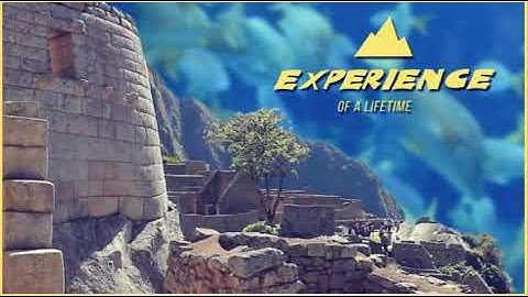 Excel 6. Module 3. Experience