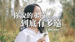 胖球魚 - 你說的永遠到底有多遠『你說到最後一定會實現，你說的每一句抱歉 敷衍著時間，撕碎了每個明天。』【動態歌詞MV】