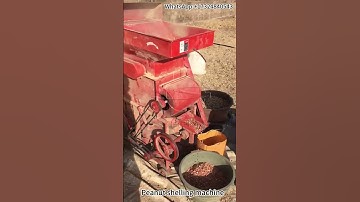 Efficient Peanut Shelling: Witness Our Peanut Shelling Machine in Action! 🥜