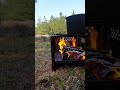 brew in the woods