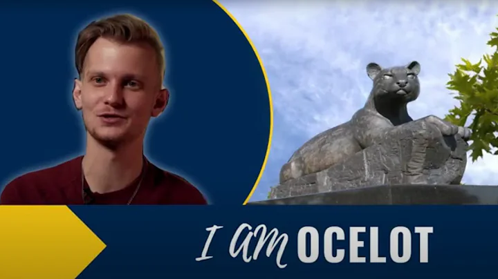 I am Ocelot: Kyle Kean, Audio Engineer, Detroit So...