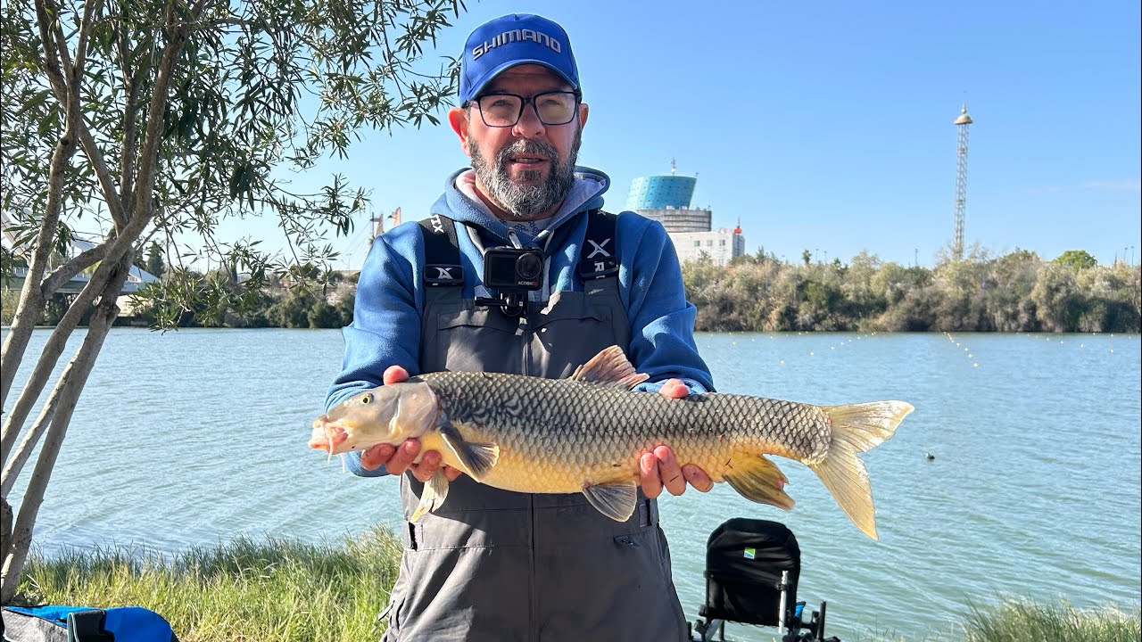 Concurso especial Navidad La Parisien 2025 los Barbos de la Barqueta 