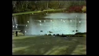 En naturfilm fra Doktorparken i Randers - 1992