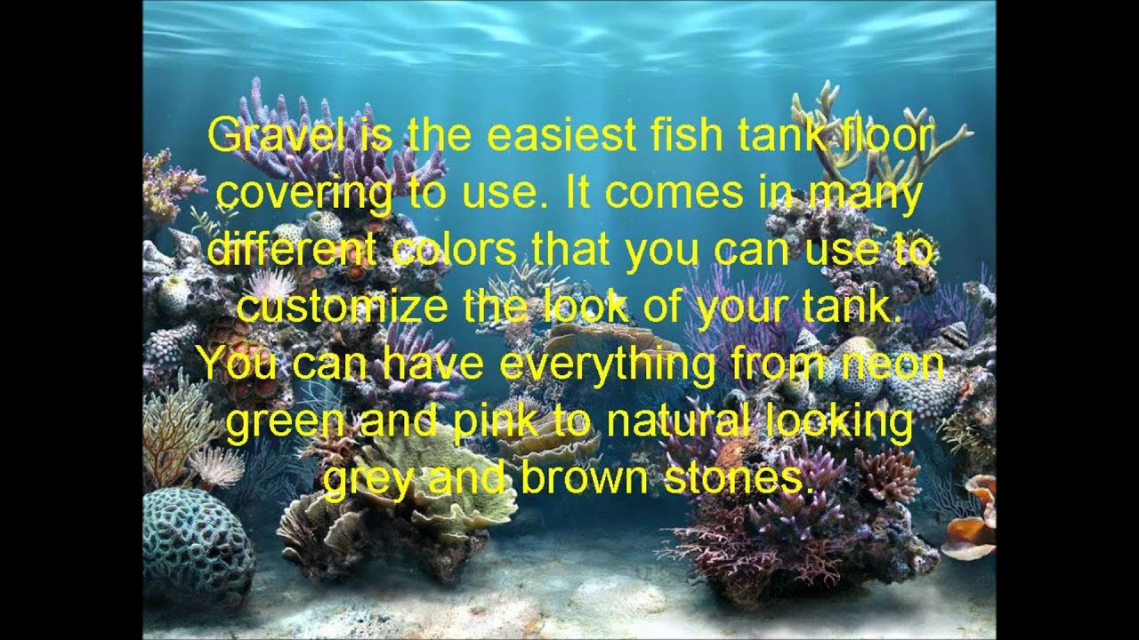 Fish Tank Sand Pros and Cons Should You Use Sand Or Gravel YouTube