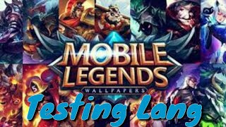 Testing Lang / madam joy li