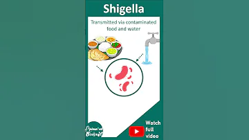 Shigella Shigellosis Microbiology Pathogenesis And Treatment USMLE 