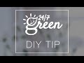 247green diy tip  stoere stam met sierlijke anjers