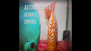 1/3 Automatizado de Acuario, control remoto, controlador arduino, monitor lcd, wifi....