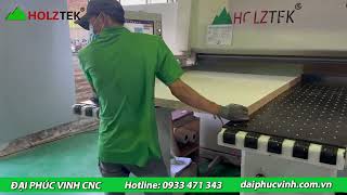 Kết Hợp Giữa Máy Cắt Ván Tự Động Panelsaw Tải Nặng TECTRA-328F - Đi Kèm Cánh Tay Gắp Ván  HT-2400BL