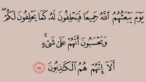 سورة المجادلة من آية ١٨-٢٢ محمد ايوب