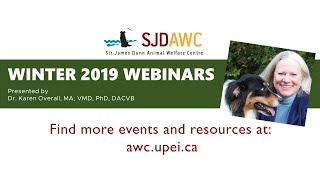 SJDAWC 2019 Webinar Series with Karen Overall (Webinar #3)