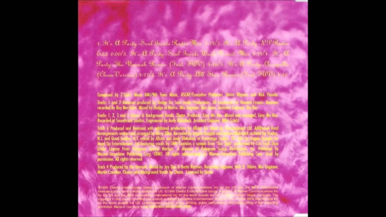 Busta Rhymes & Zhane Its a Party YouTube