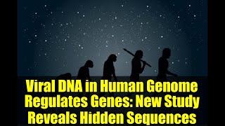 Viral DNA in Human Genome Regulates Genes: New Study Reveals Hidden Sequences