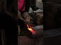 Membelah baja #blacksmith #usa #diy #tools #viral #wood #welding #handmadeinusa #fyp #traditional