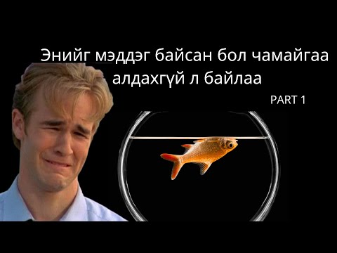 Видео: Загасны загас ямар харагддаг вэ?