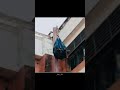 Jay Jay S Bag Became The Flag Of Section E The Jewel Of Section E Philippinesdrama Jay Jay S Bag Became The Flag Of Section E The Jewel Of Section E Philippinesdrama