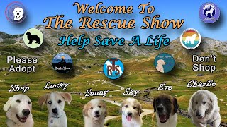 The Rescue Show Live 5-19-2024