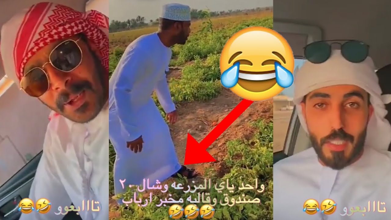 حد ياي مزرعه المدبل وشال 20 صندوق 📦😂🔥