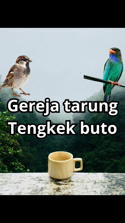 tengkek buto vs gereja tarung #masteranonline