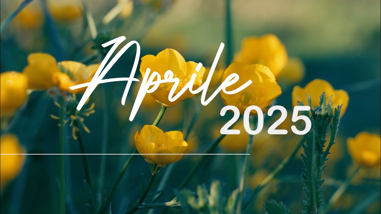 Aprile | Ogni progetto è un'EMOZIONE 🪡✨