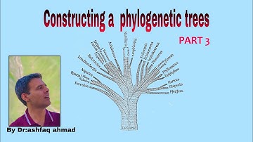 Constructing a Phylogenetic Tree - Part 3 - English